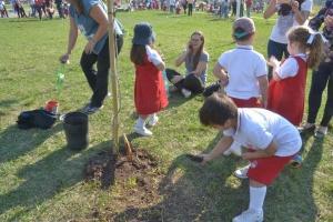Rotary Costanera y Jardín Misericordia